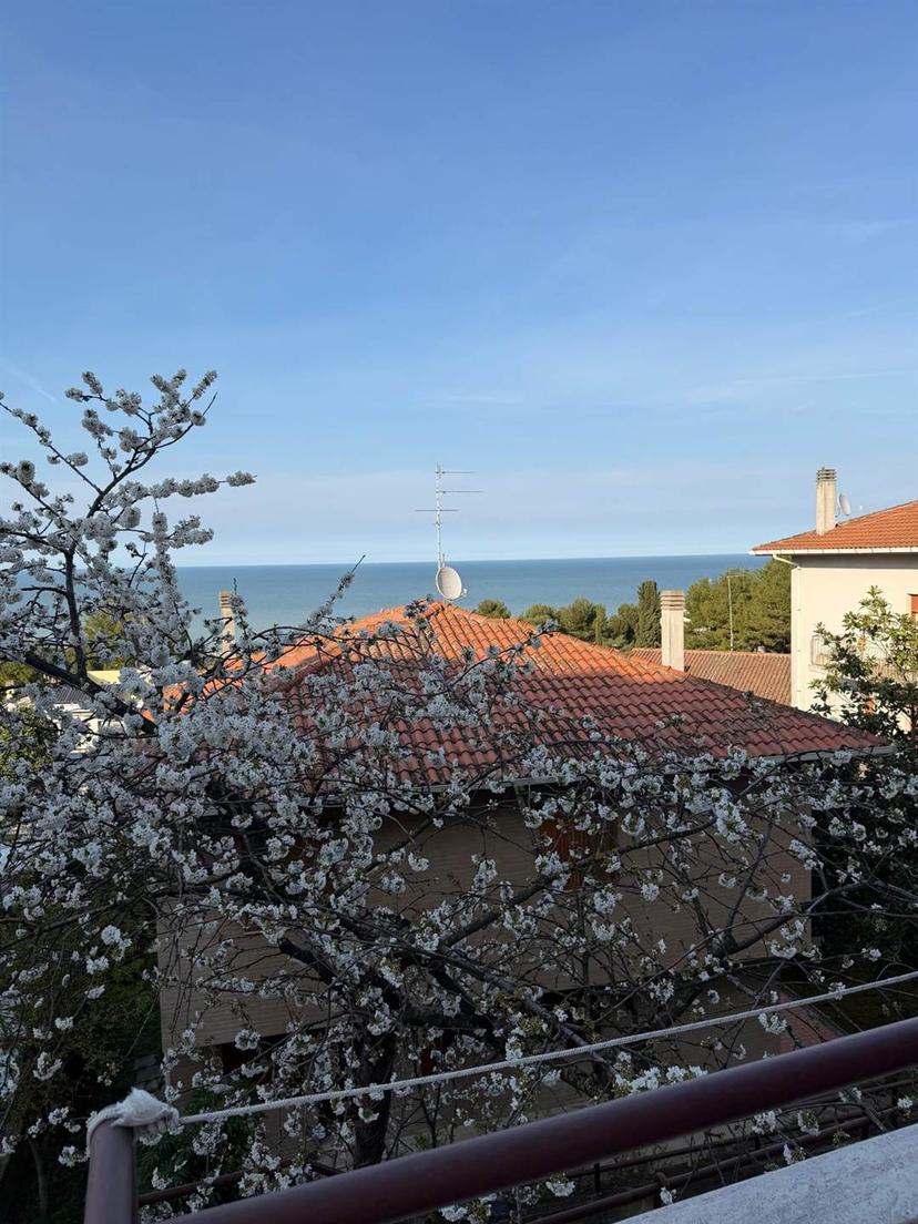 Quadrilocale, Falconara Marittima — foto 4 di 5