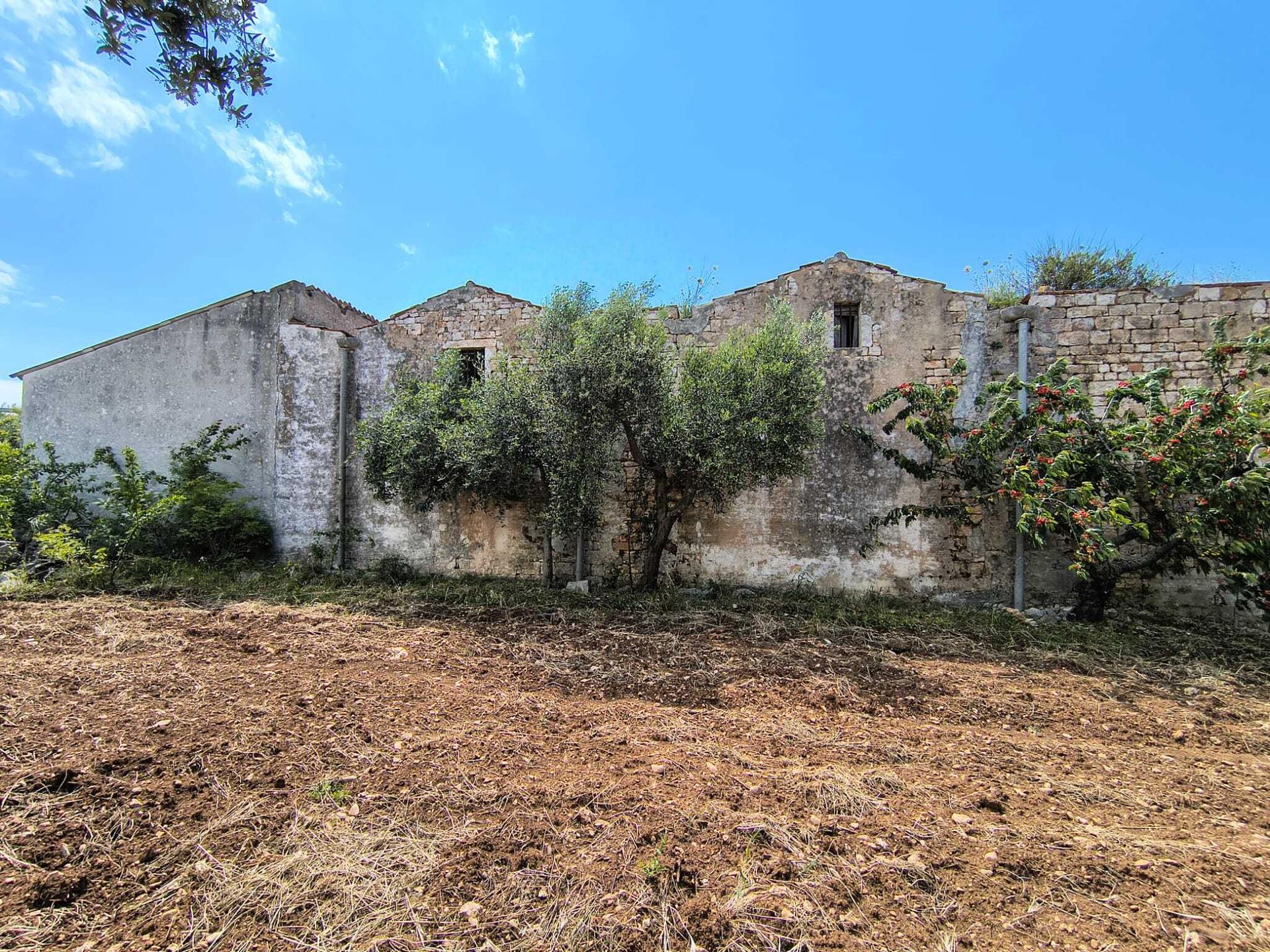 Casale, Turi