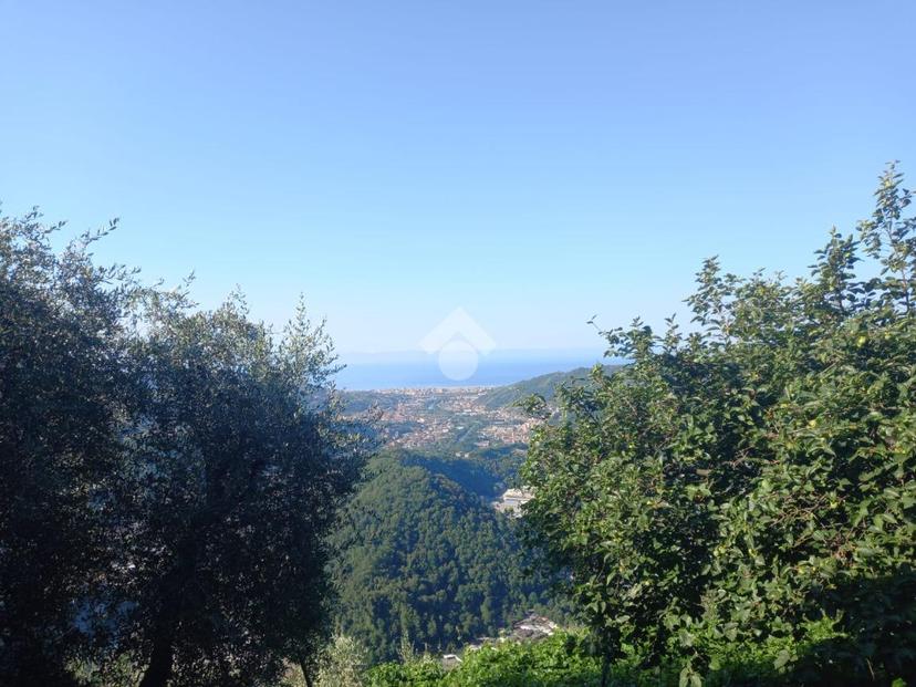 Rustico in Località Mennuia 1, Carasco — foto 2 di 5