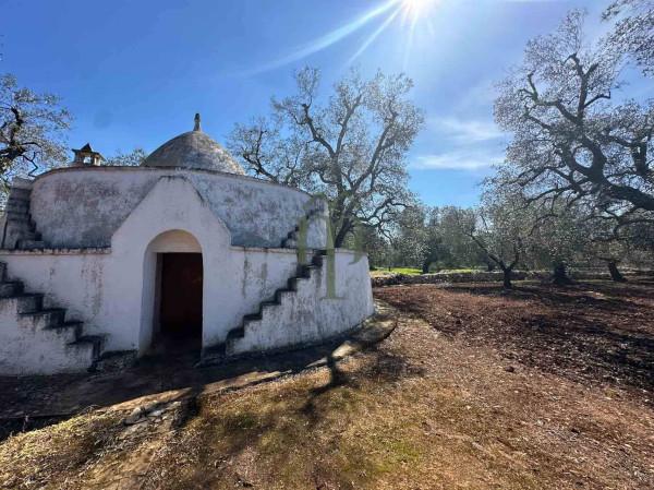 Trullo, San Vito dei Normanni — foto 2 di 5