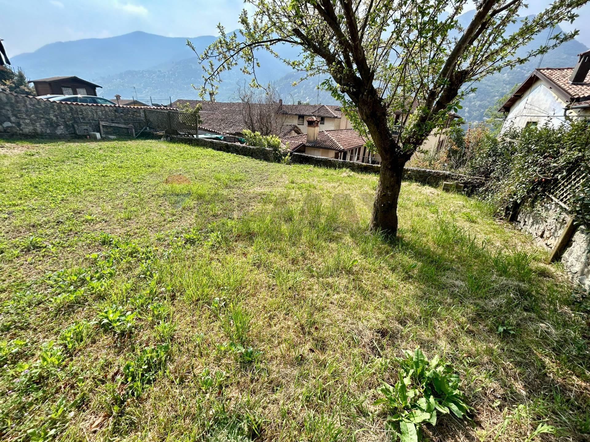 Trilocale, Endine Gaiano