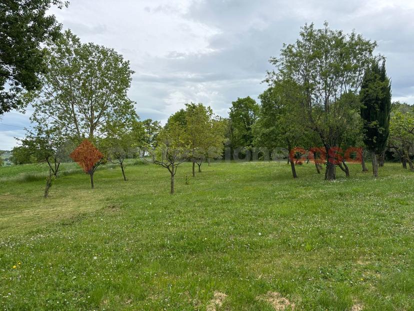 Rustico in Contrada Civitavecchia 46/a, Jelsi — foto 2 di 5