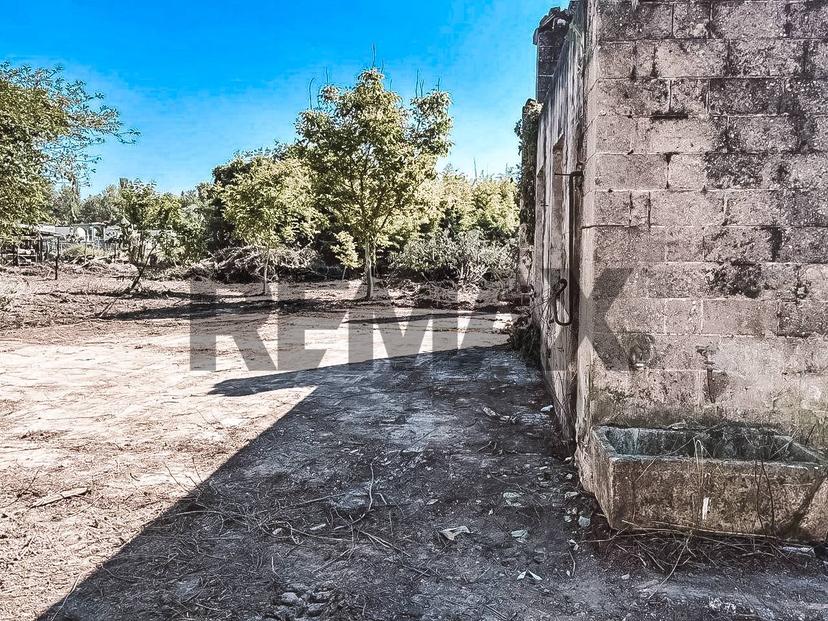 Rustico in Via Bosco 1, Langosco — foto 2 di 5