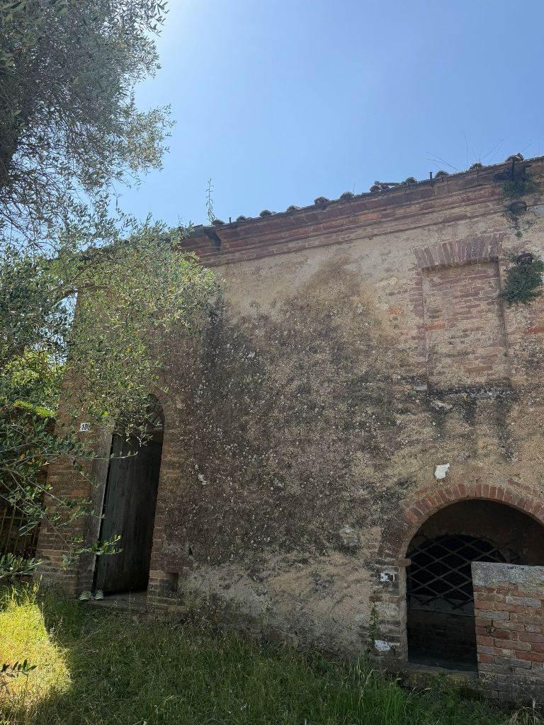 Rustico, Siena