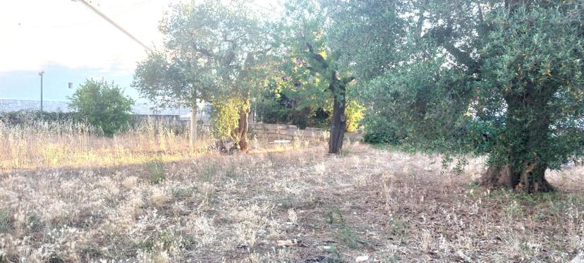 Villa in Via Tommaso Fiore, Castellana Grotte — foto 4 di 5