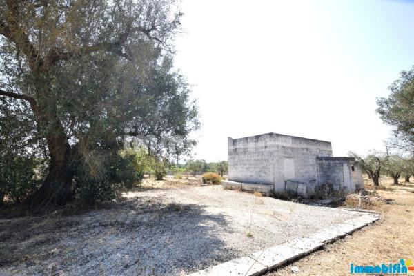 Rustico, Oria — foto 3 di 5