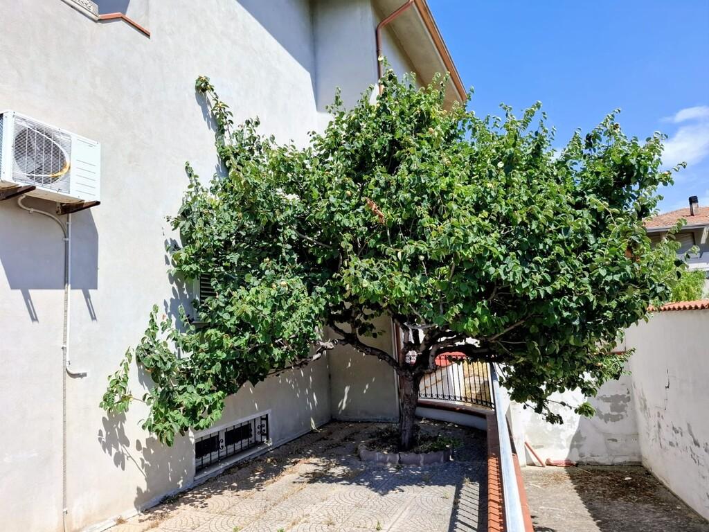Villa a schiera, Marrubiu