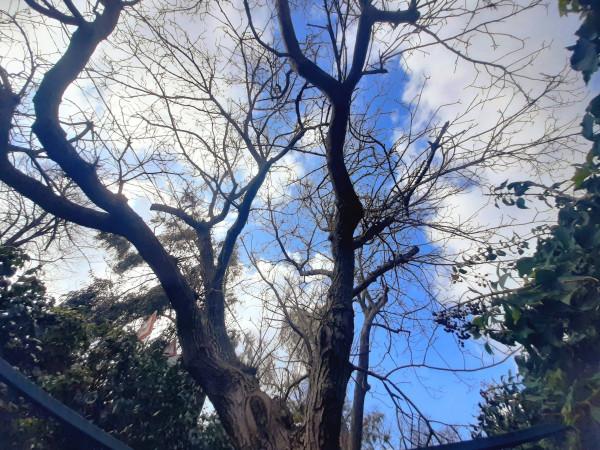 Terratetto unifamiliare in Via Mongibello 49, Milo — foto 4 di 5
