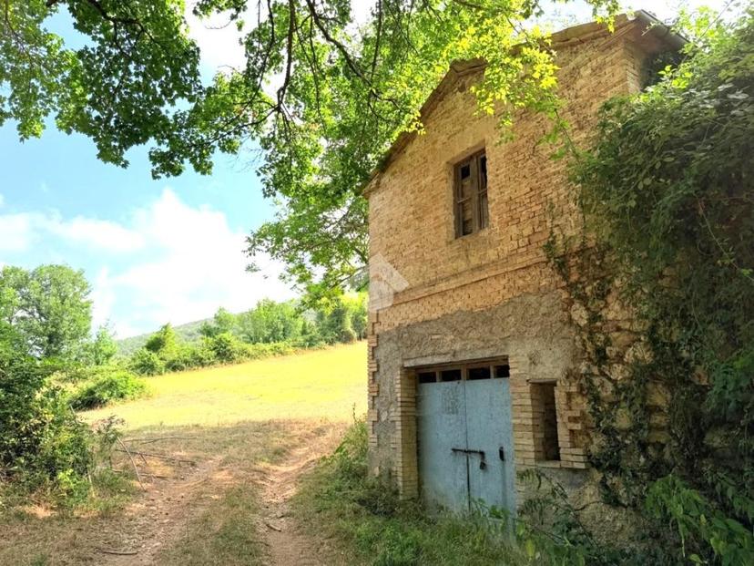Rustico in Via Fontevecchia, Montasola — foto 3 di 5