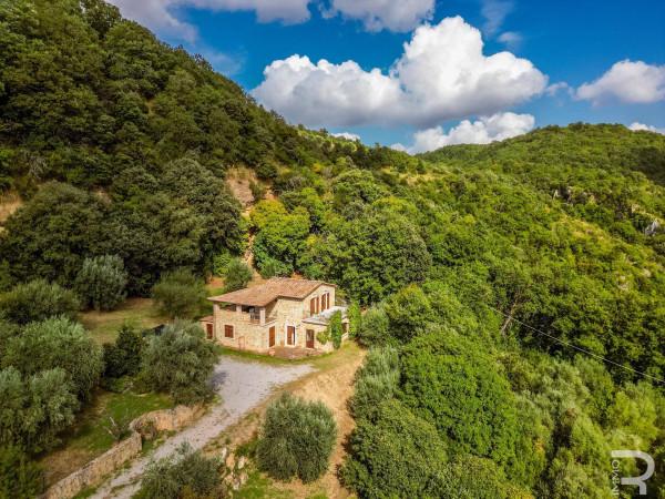 Rustico in Strada Provinciale di Fibbianello, Semproniano — foto 2 di 5