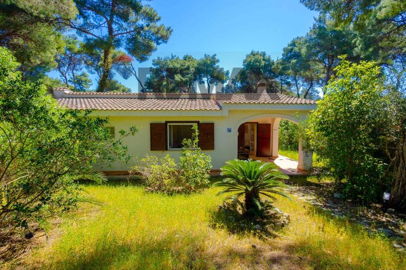 Villa in Via dei Biancospini 18, Castellaneta — foto 4 di 5