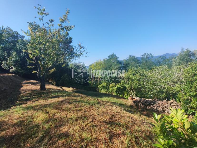 Villa in Strada Provinciale 18, Andora — foto 3 di 5