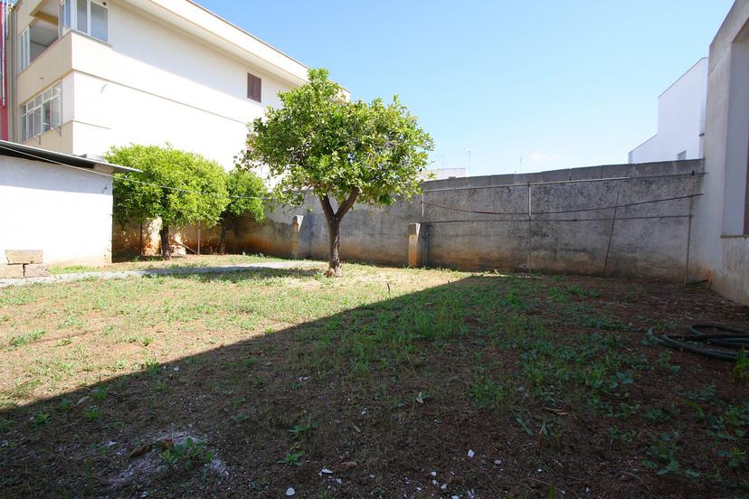 Casa indipendente in Via Regina Elena, Presicce-Acquarica — foto 5 di 5