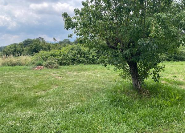 Villa in Località Paoli, Altopascio — foto 2 di 5