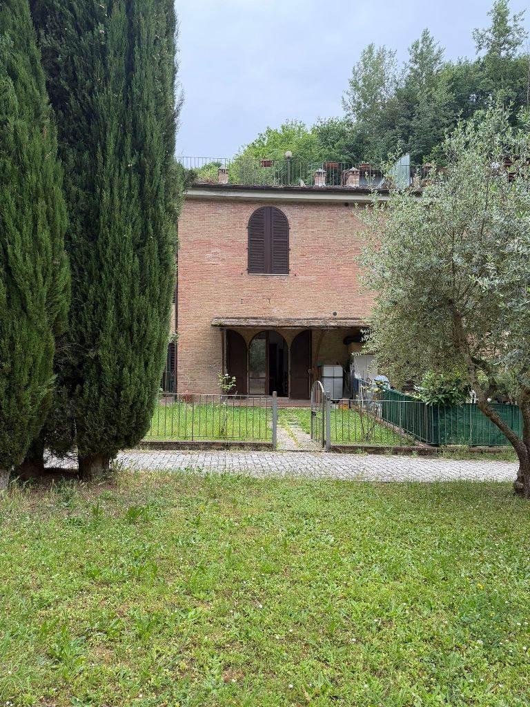 Terratetto, Siena