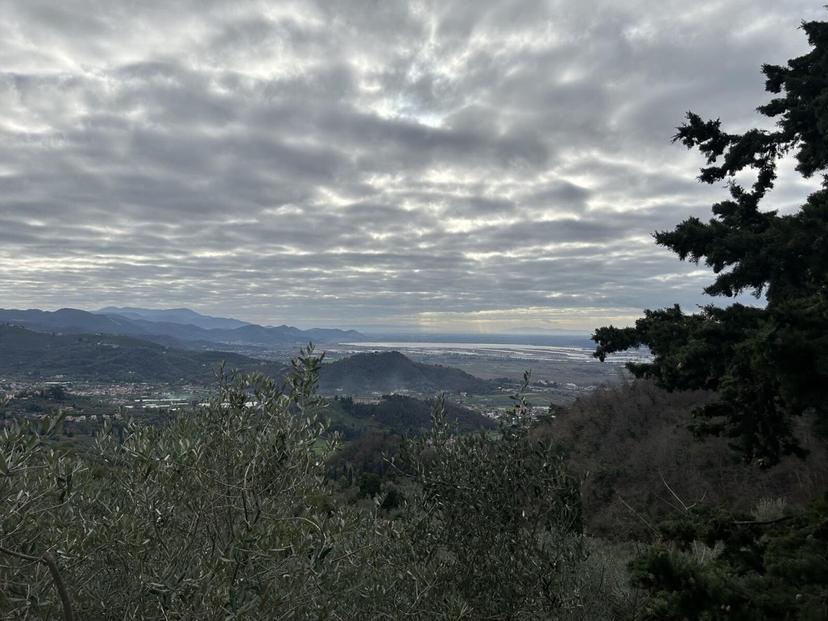 Quadrilocale, Massarosa — foto 2 di 3