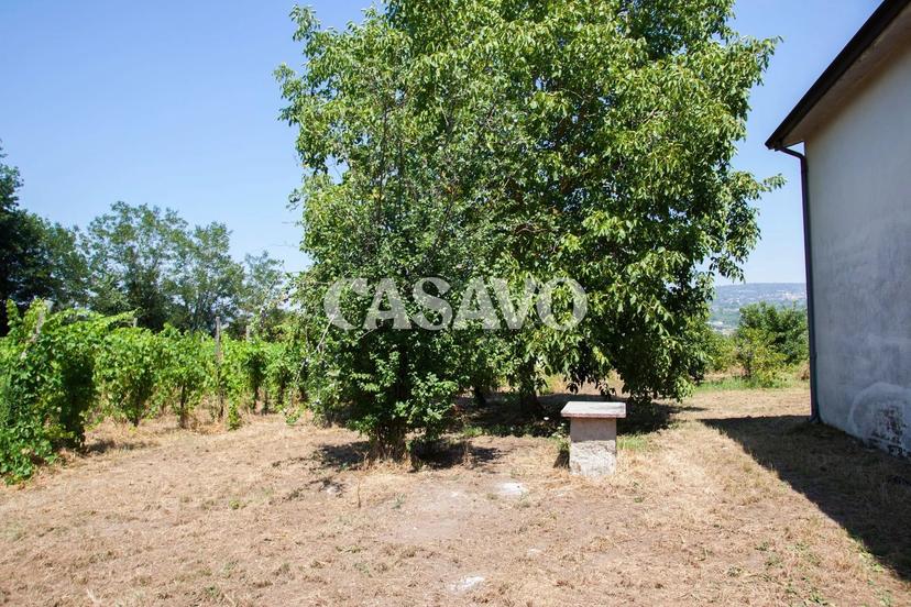 Villa in Via Ettore Maffei 4, Taurasi — foto 2 di 5