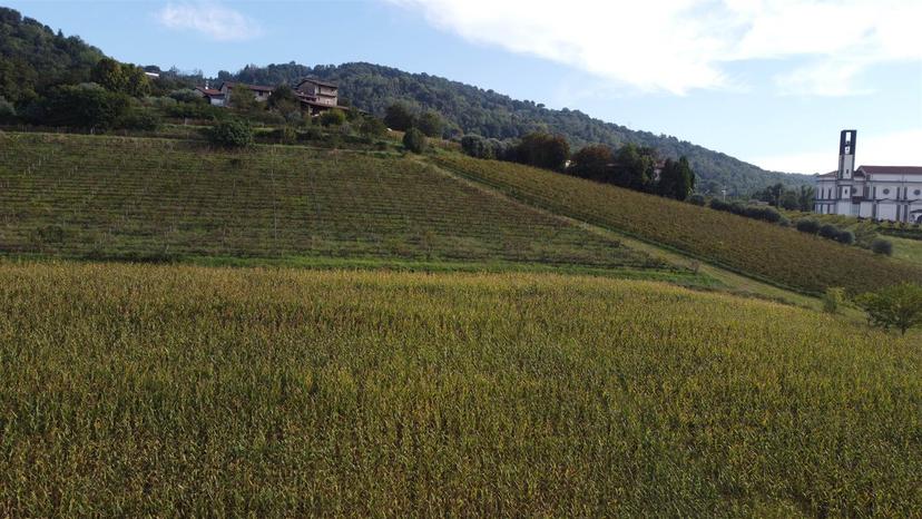 Rustico, Sotto il Monte Giovanni XXIII — foto 4 di 5