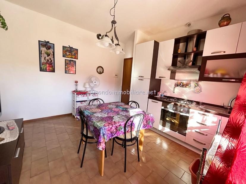 Trilocale, Rosignano Marittimo — foto 5 di 5