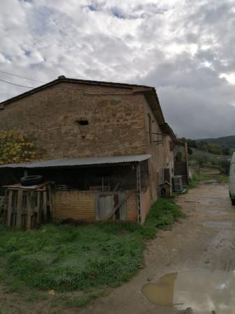 Casale in Strada della Cittadella, Torgiano