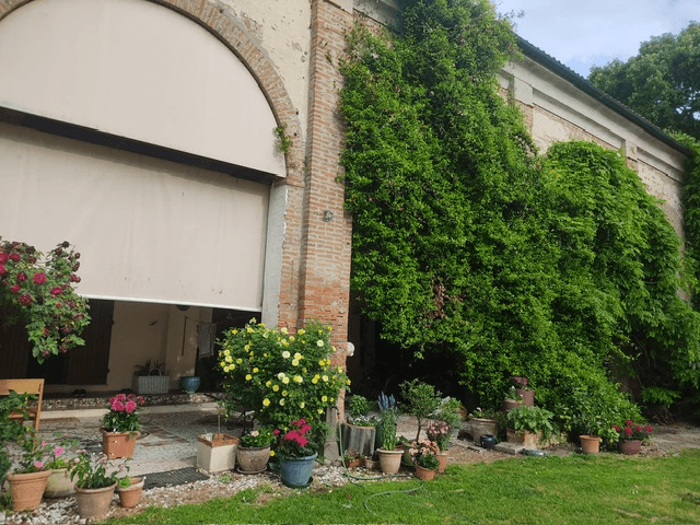 Casale in Via Pagano, Masi Torello — foto 5 di 5