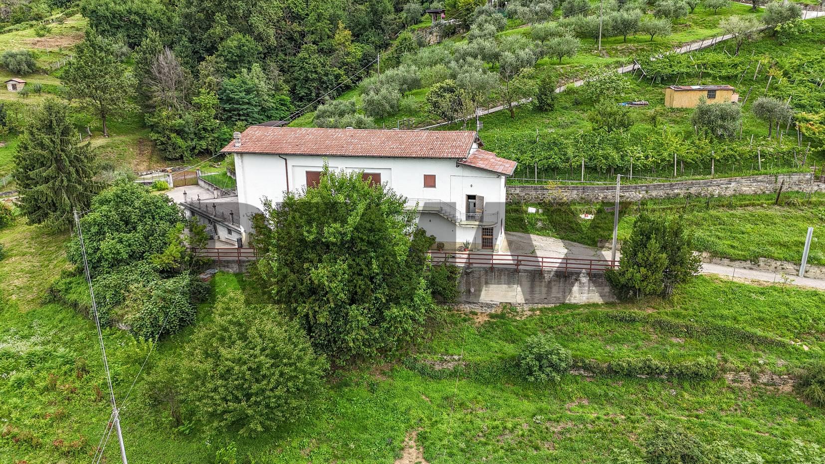 Rustico, Foresto Sparso