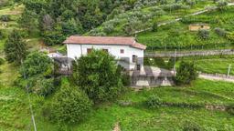 Rustico, Foresto Sparso