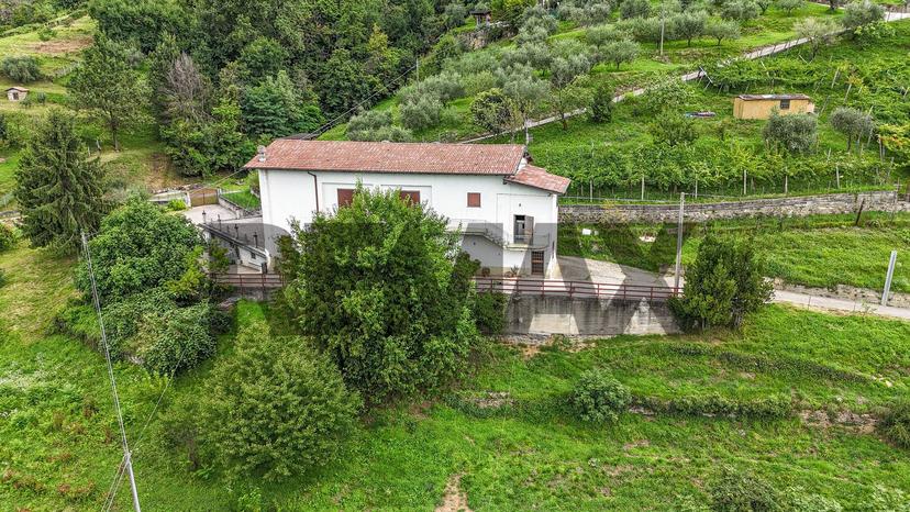 Rustico, Foresto Sparso