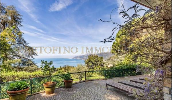 Villa plurifamiliare in Via Franco Molfino, Camogli — foto 5 di 5