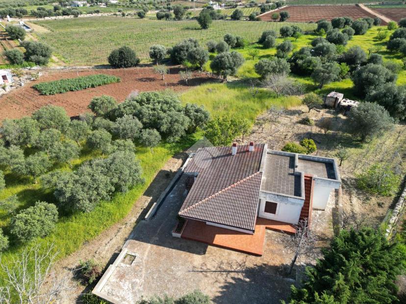 Villa in Contrada Madonna di Grottole, Polignano a Mare — foto 4 di 5