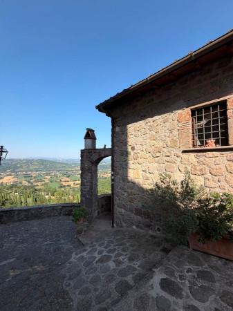 Trilocale in Via Belvedere, Bassano in Teverina — foto 2 di 5