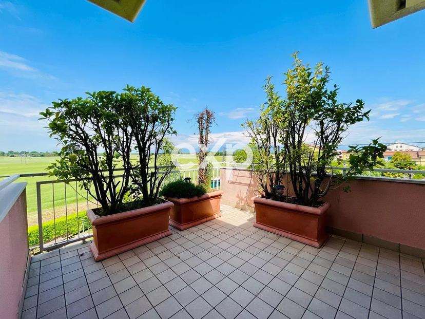 Appartamento, Motta di Livenza — foto 2 di 5