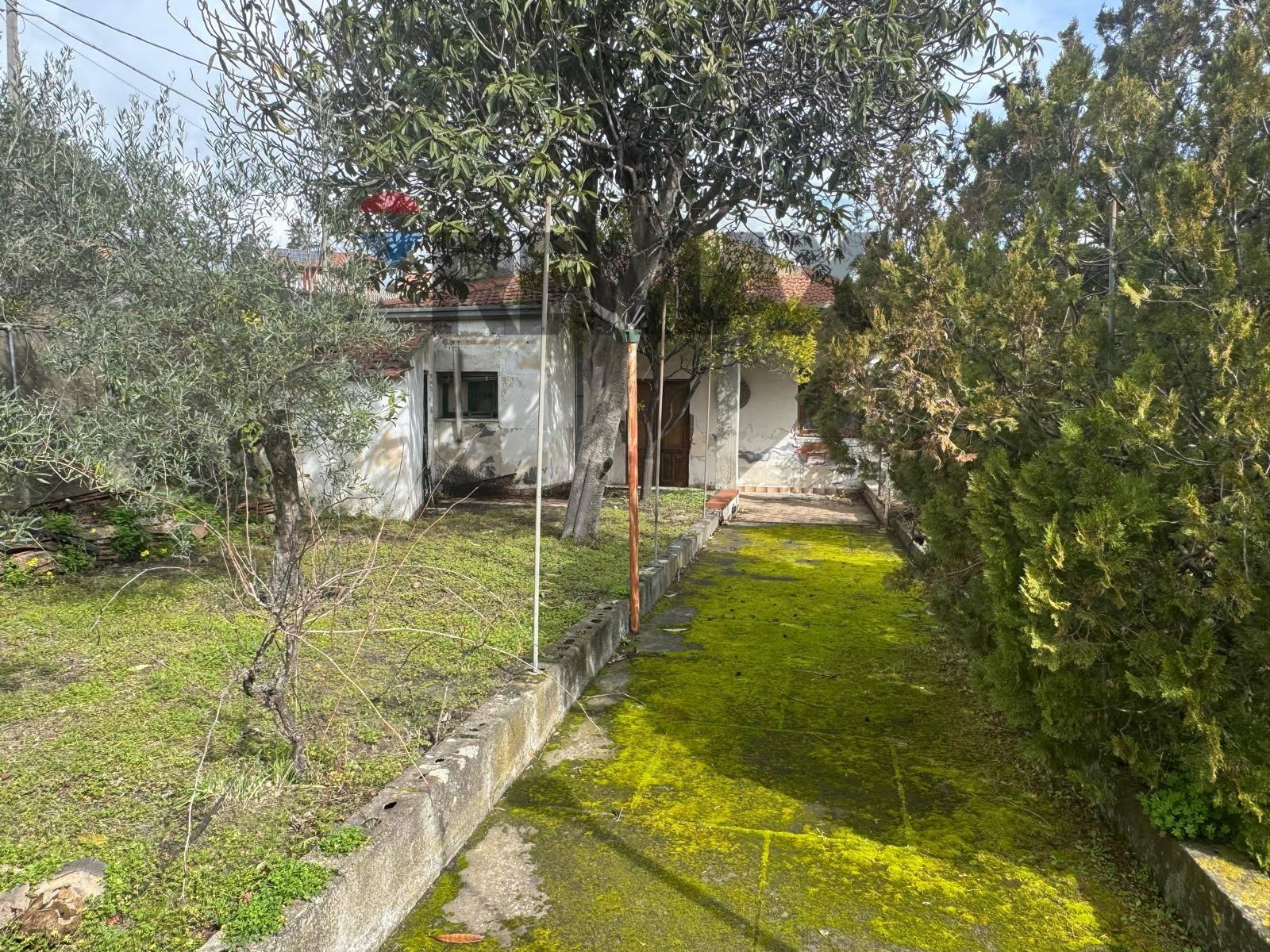 Villa in Via delle Ginestre 19, Pedara