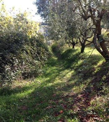 Rustico, San Benedetto del Tronto — foto 4 di 5