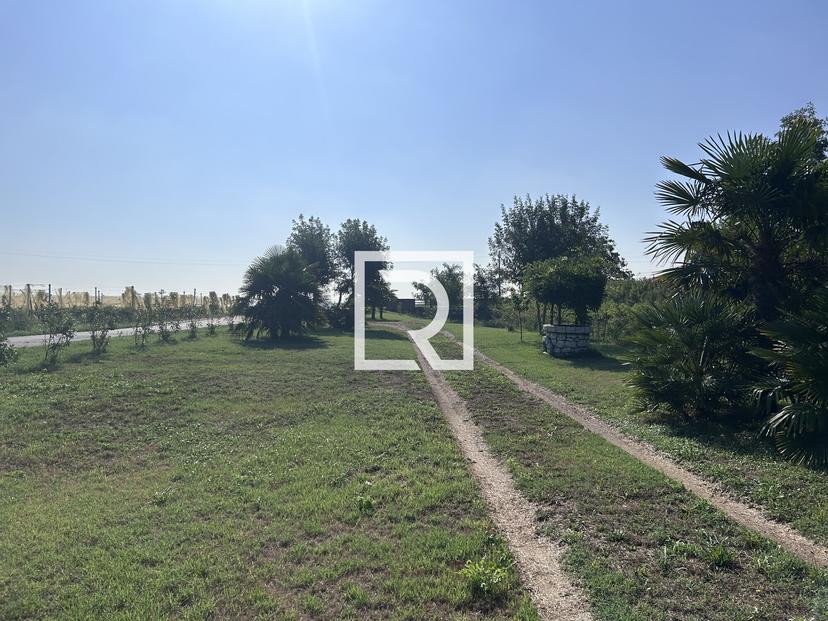 Rustico in Via del Fiume Nuovo 15, Ravenna — foto 4 di 5