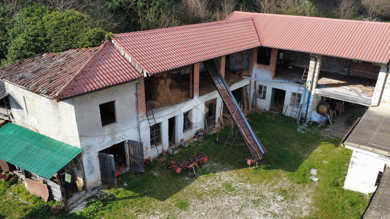 Rustico, Tricesimo