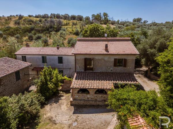 Rustico in Strada Provinciale Cinigianese, Cinigiano — foto 2 di 5