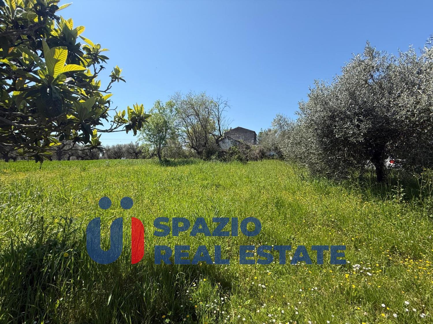 Casale in Strada Fagnano, Città Sant'Angelo