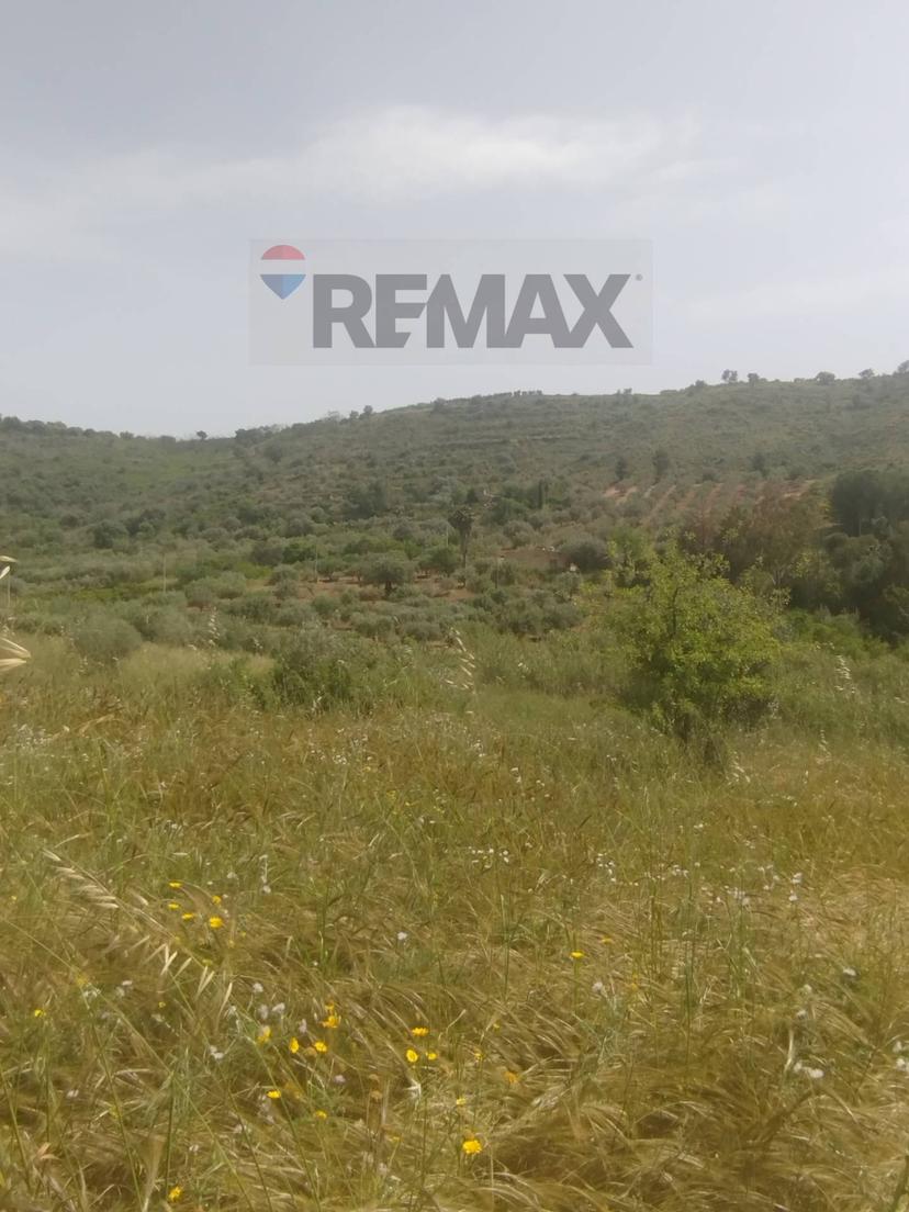 Villa in Via Venanzio Marvuglia Snc, Caltagirone — foto 3 di 5