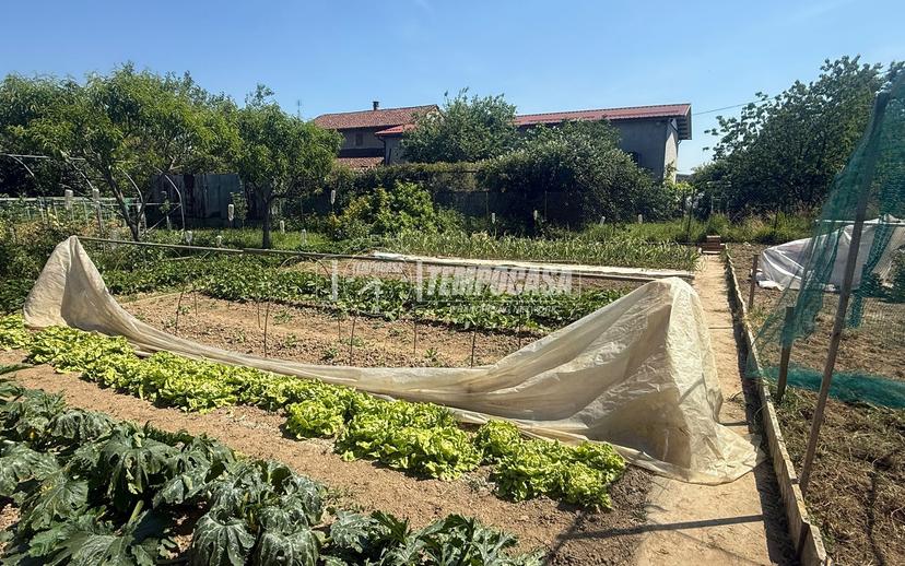 Appartamento in Strada Bianchi 185, Villanova d'Asti — foto 2 di 5