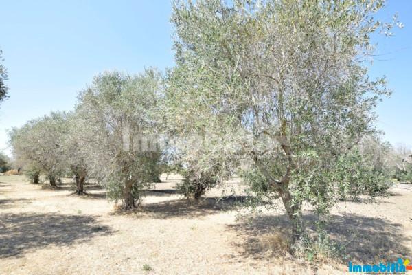 Rustico, Oria — foto 2 di 5