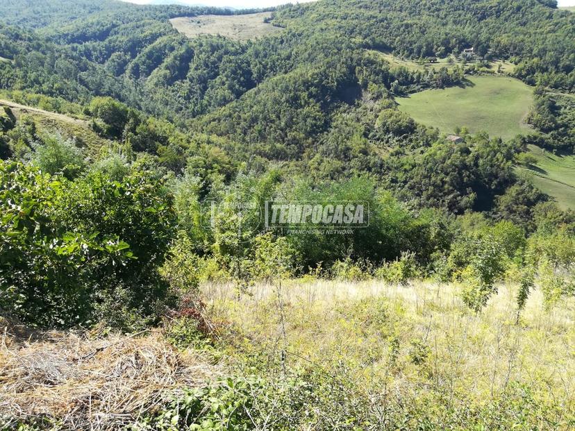 Casa indipendente in Frazione Recesio 1, Bettola — foto 5 di 5