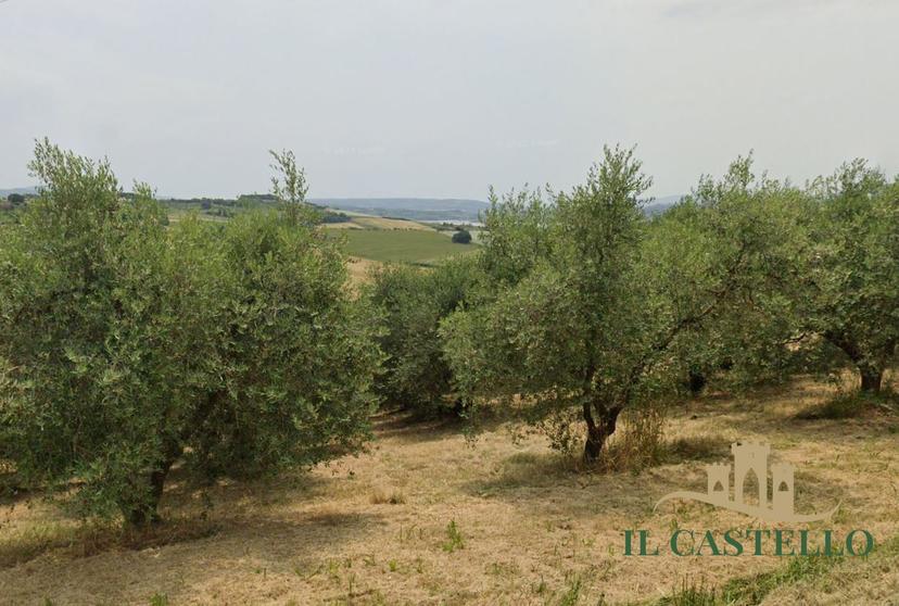 Villa a schiera, Castiglione del Lago — foto 3 di 5