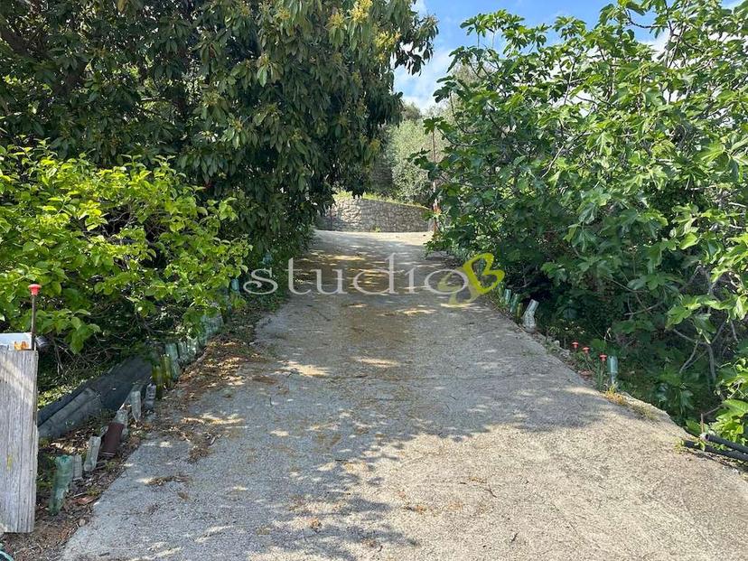 Villa unifamiliare in Via San Sebastiano Snc, Vallebona — foto 3 di 5