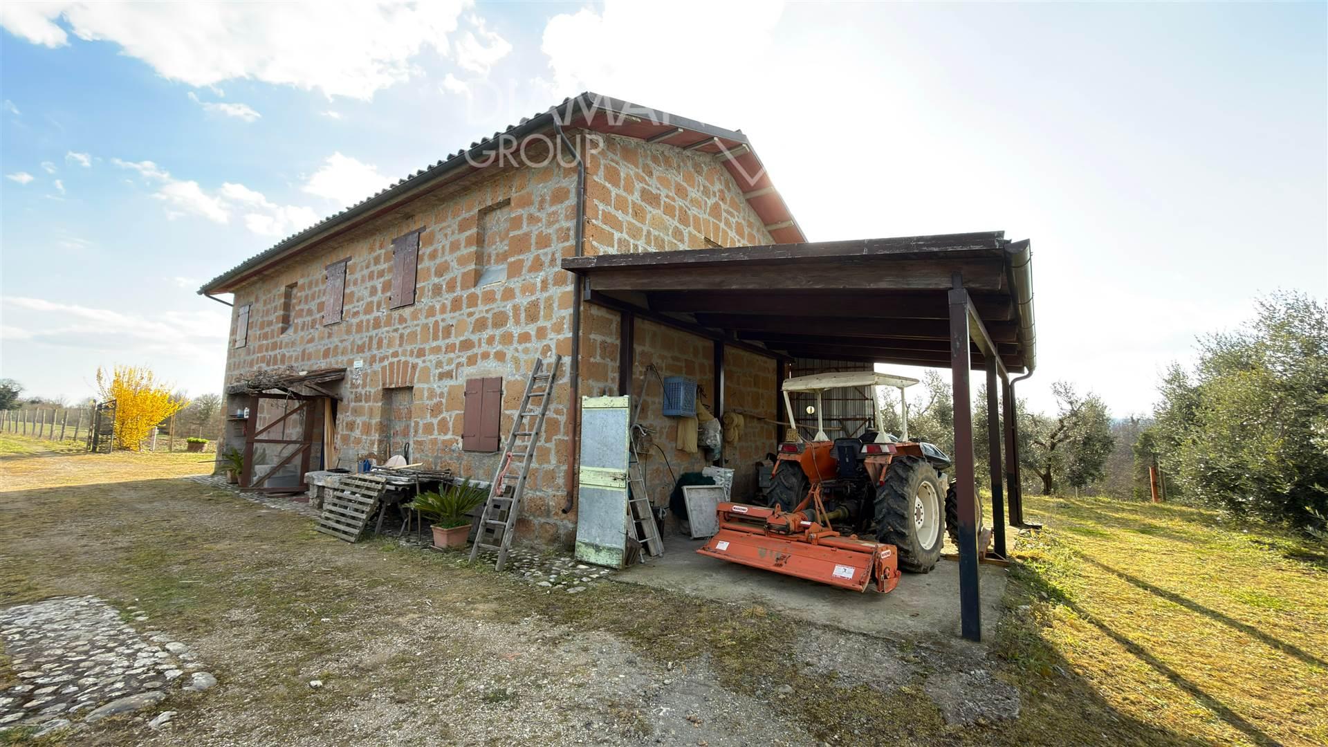 Casa colonica, Acquapendente