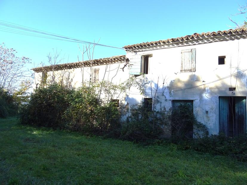 Rustico, Senigallia — foto 4 di 5