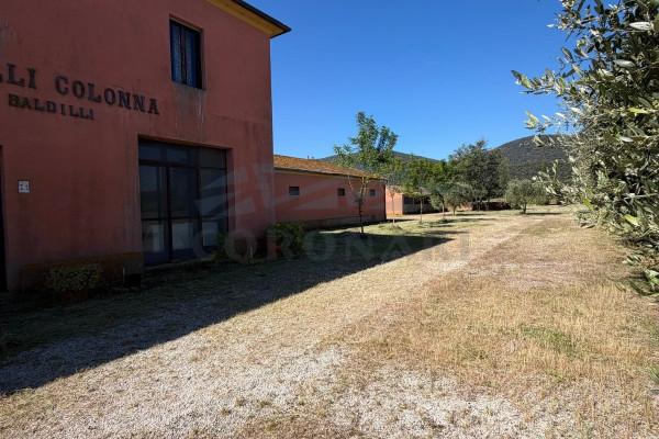 Casale in Strada Provinciale di Montiano, Magliano in Toscana — foto 3 di 5