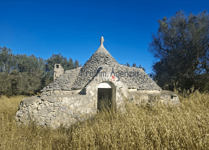 Rustico, San Vito dei Normanni — foto 4 di 5