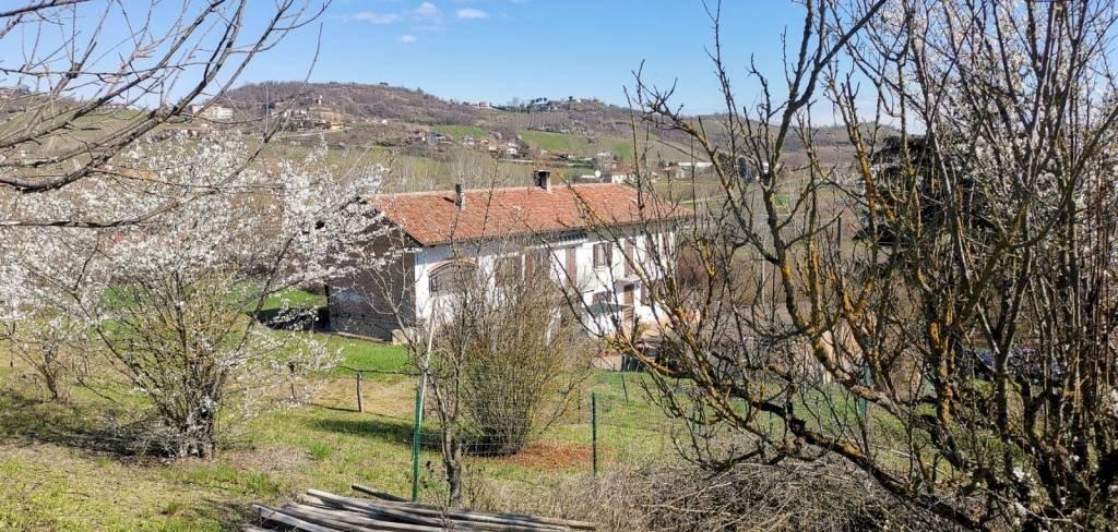 Rustico, Montegrosso d'Asti