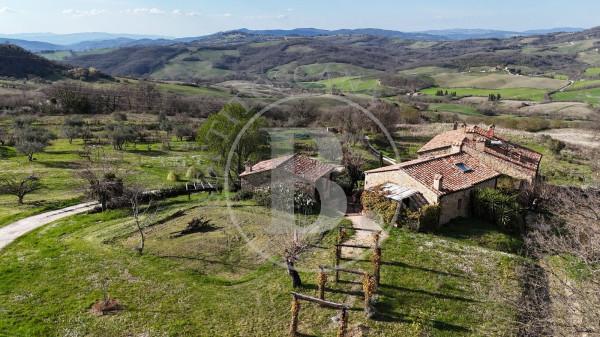 Casale in Località Pietti, Casole d'Elsa — foto 2 di 5
